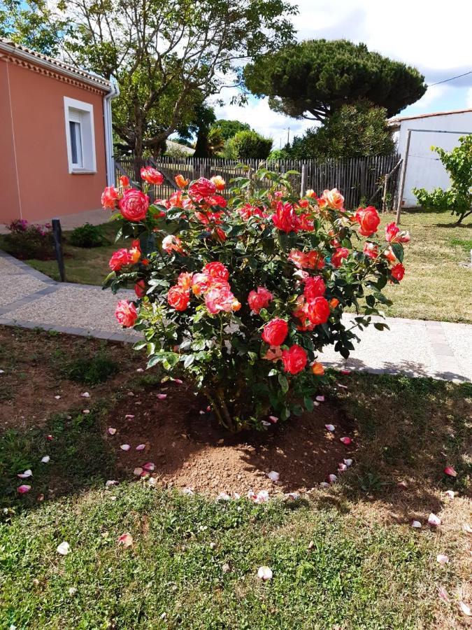 Appartement Independant A 10Min Des Plages Au Calme Proche O'Gliss Et O'Funparken Campagne La Jonchere Kültér fotó